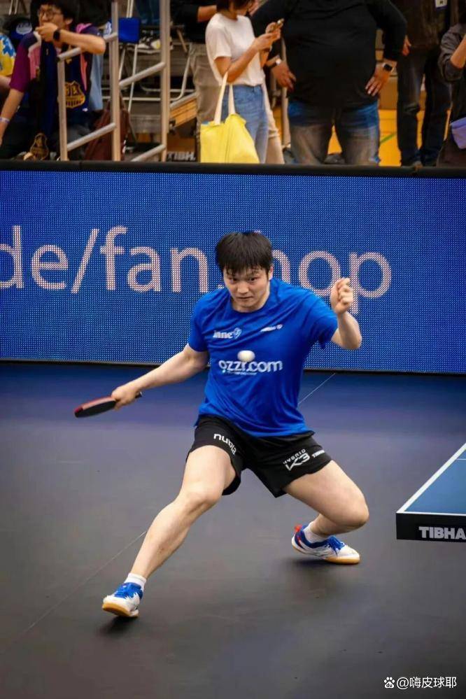 比利时乒乓球队血洗韩国乒乓球队，樊振东绝境逆转的简单介绍