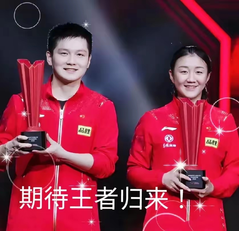 开云体育官网-奥地利乒乓球队横扫韩国乒乓球队，奥恰洛夫送出助攻的简单介绍