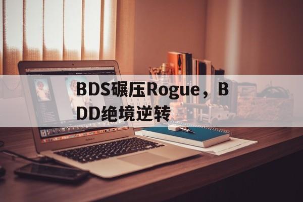 开云足球直播-BDS碾压Rogue，BDD绝境逆转
