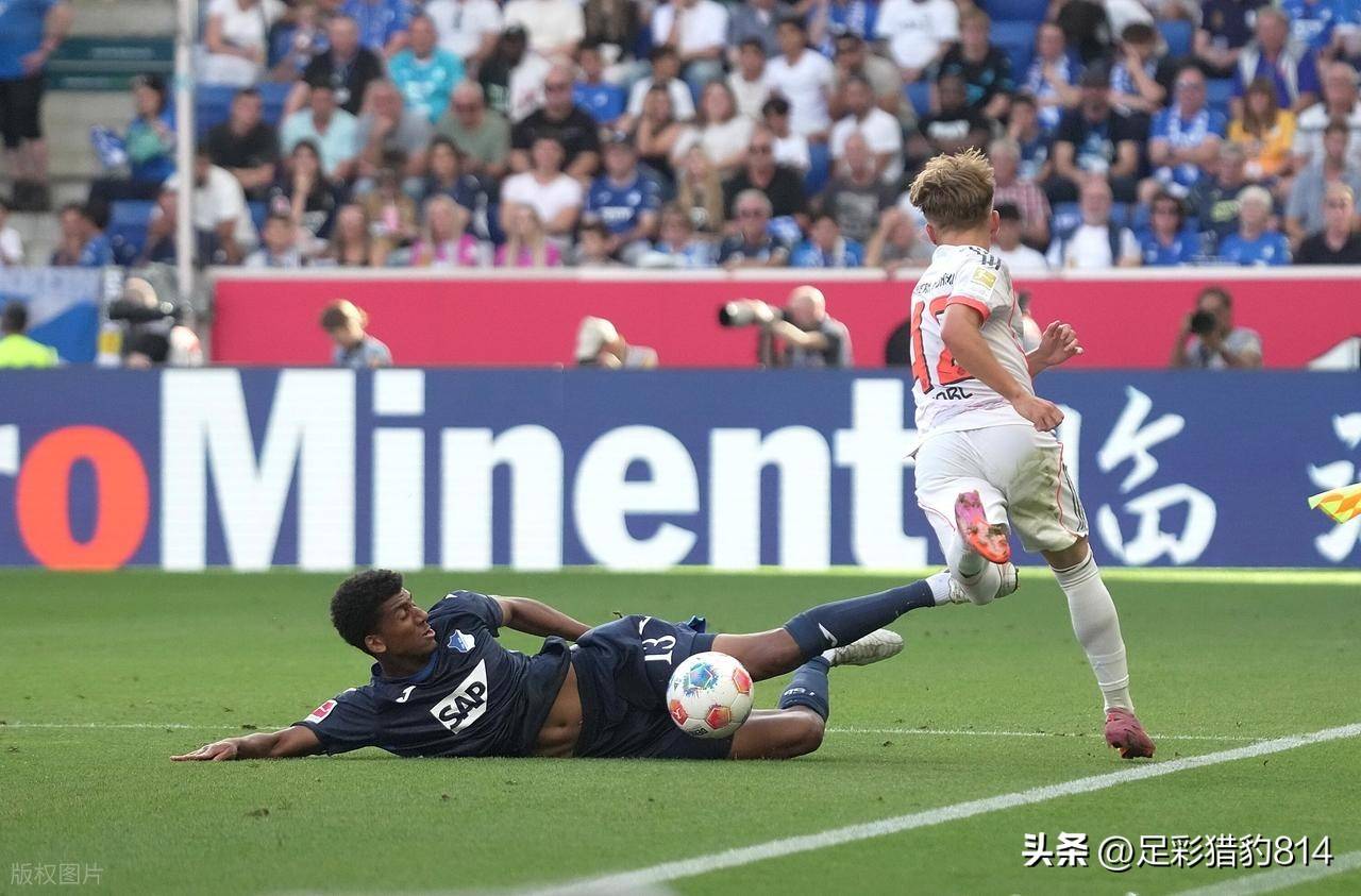 包含霍芬海姆连吞连败，法甲战绩持续低迷的词条